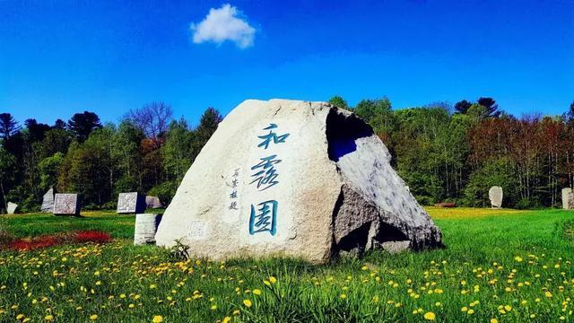 燃烧吧大脑装瓶子游戏
