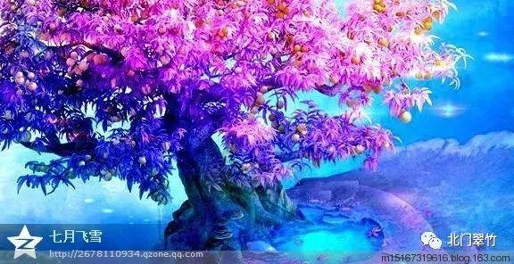 蓝狐视频